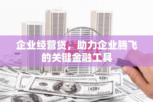 宁城企业经营贷，助力企业腾飞的关键金融工具