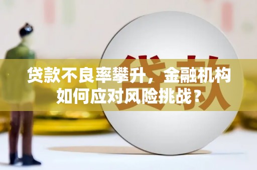 宁城贷款不良率攀升，金融机构如何应对风险挑战？