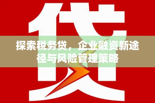 宁城探索税务贷，企业融资新途径与风险管理策略