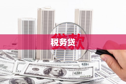 宁城税务贷