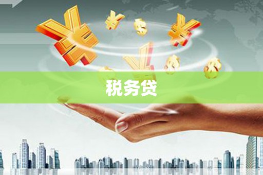 宁城税务贷