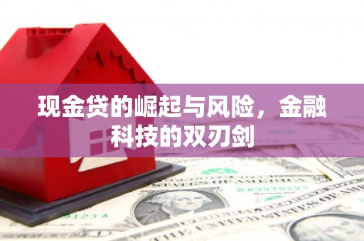 宁城现金贷的崛起与风险，金融科技的双刃剑