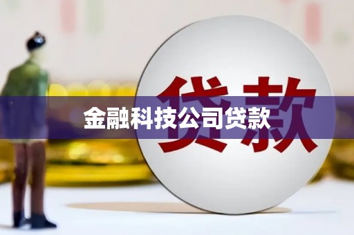 宁城金融科技公司贷款