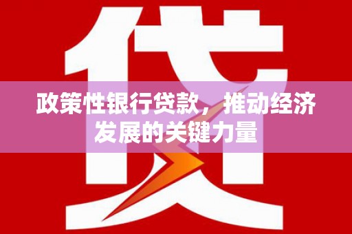 宁城政策性银行贷款，推动经济发展的关键力量
