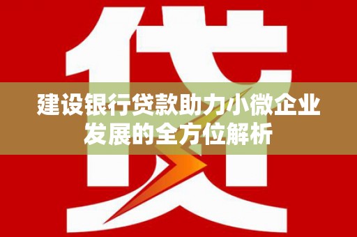 宁城建设银行贷款助力小微企业发展的全方位解析