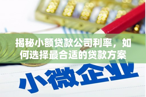宁城揭秘小额贷款公司利率，如何选择最合适的贷款方案