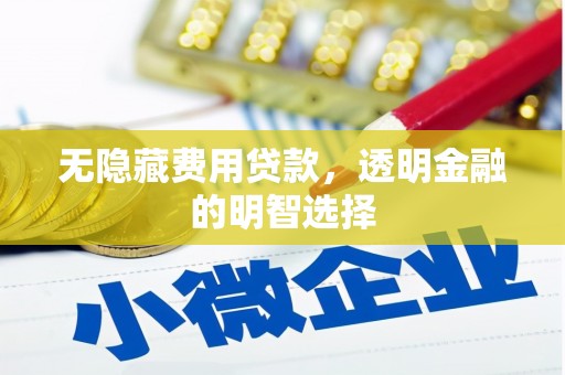 宁城无隐藏费用贷款，透明金融的明智选择