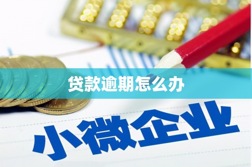 宁城贷款逾期怎么办