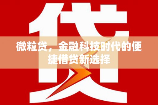 宁城微粒贷，金融科技时代的便捷借贷新选择