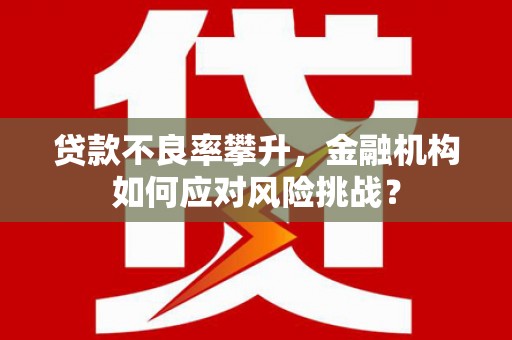 宁城贷款不良率攀升，金融机构如何应对风险挑战？
