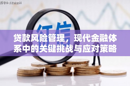 宁城贷款风险管理，现代金融体系中的关键挑战与应对策略