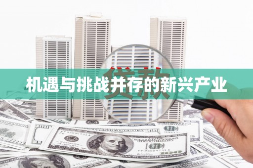 宁城机遇与挑战并存的新兴产业