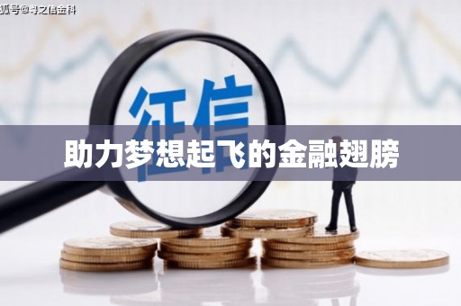 宁城助力梦想起飞的金融翅膀