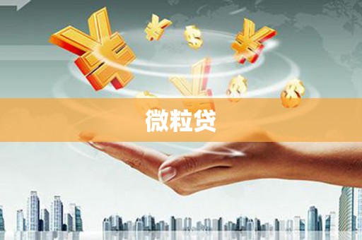 宁城微粒贷