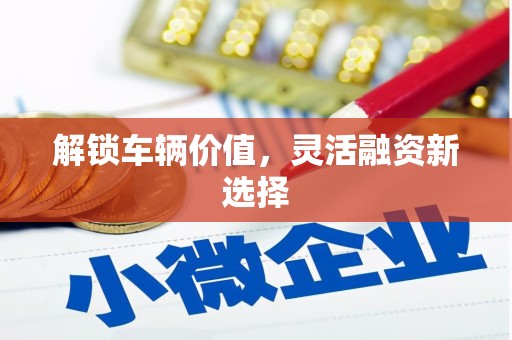 宁城解锁车辆价值，灵活融资新选择