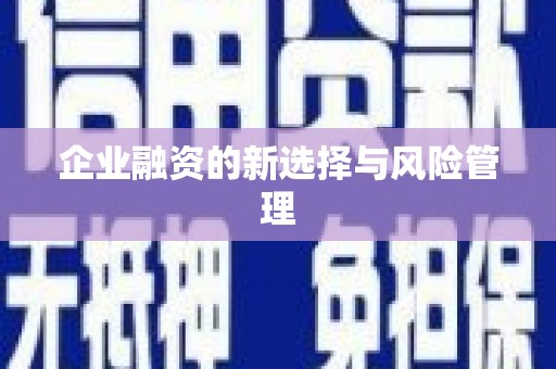 宁城企业融资的新选择与风险管理
