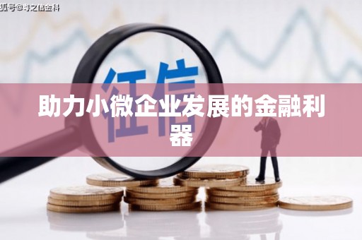 宁城助力小微企业发展的金融利器