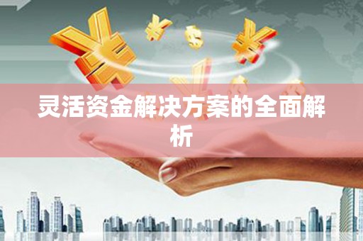 宁城灵活资金解决方案的全面解析