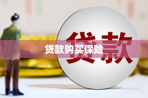 宁城贷款购买保险