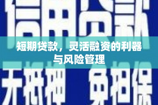 宁城短期贷款，灵活融资的利器与风险管理