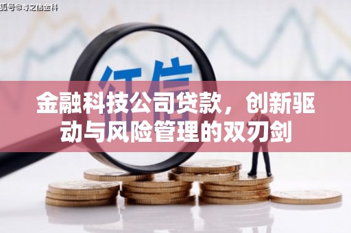 宁城金融科技公司贷款，创新驱动与风险管理的双刃剑